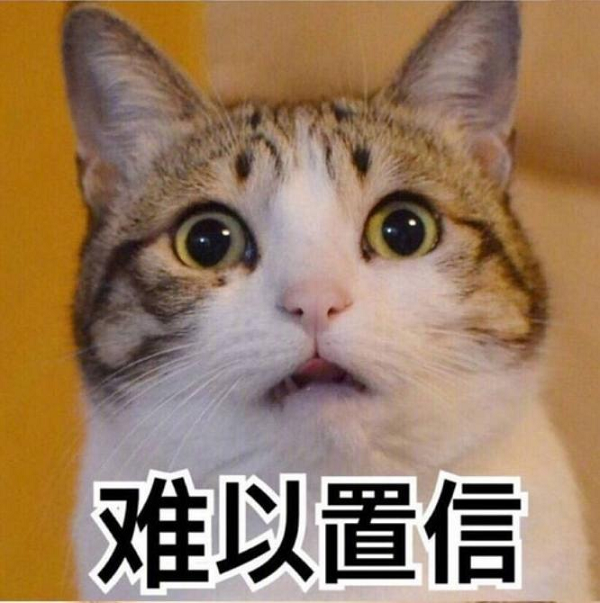 猫，一名合格的养路工作者