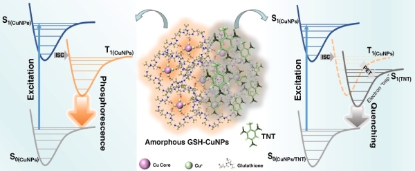 新疆理化所在聚簇触发磷光的非晶态铜基纳米颗粒检测TNT方面获进展